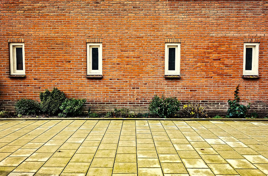 building, block, wall, brick wall, window, four windows, bush HD wallpaper