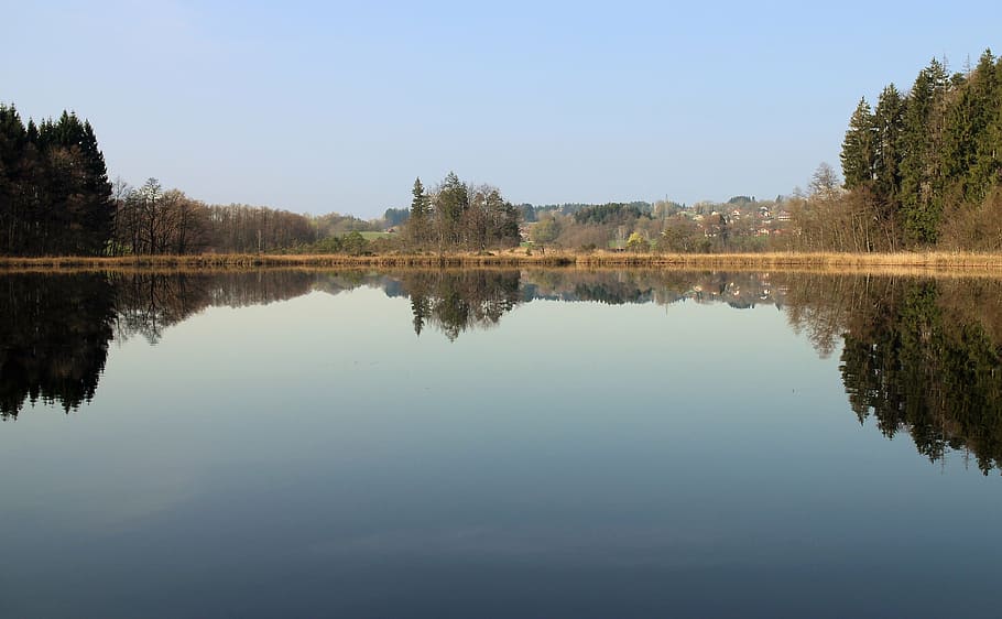 mirroring, reflections, nature, trees, water, surface, rest HD wallpaper