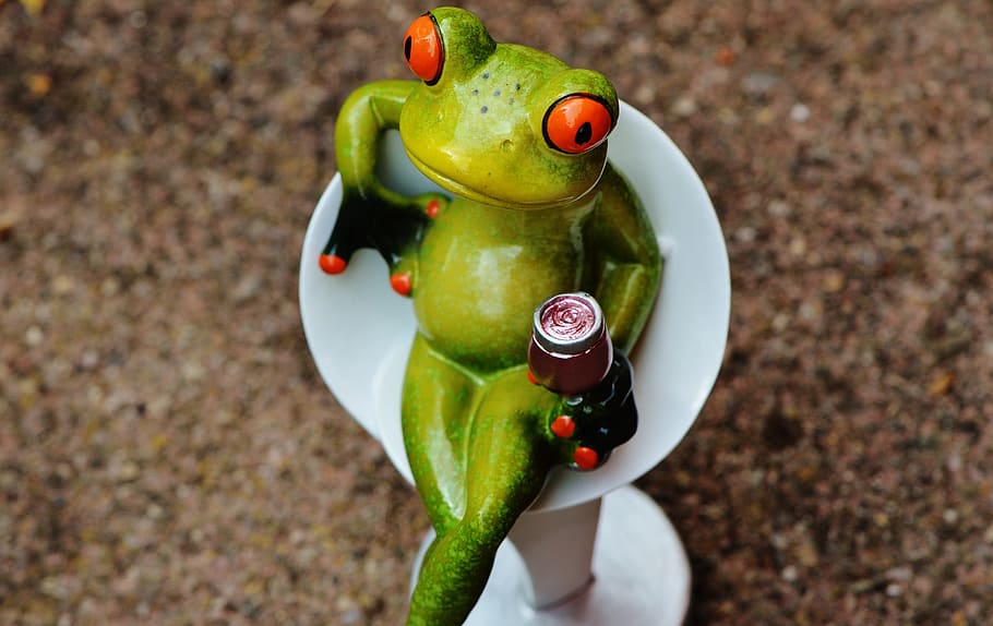 Frog, Cocktail, Drink, chick, funny, cute, chair, sit, sweet HD wallpaper