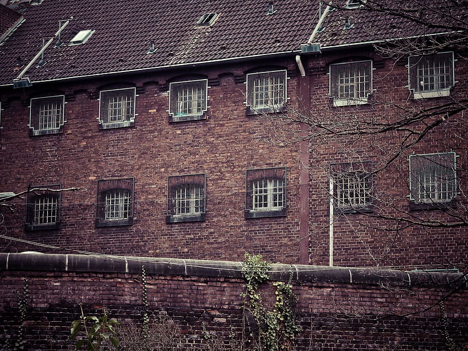 prison, caught, grid, dom, imprisoned, captivity, barbed wire HD wallpaper