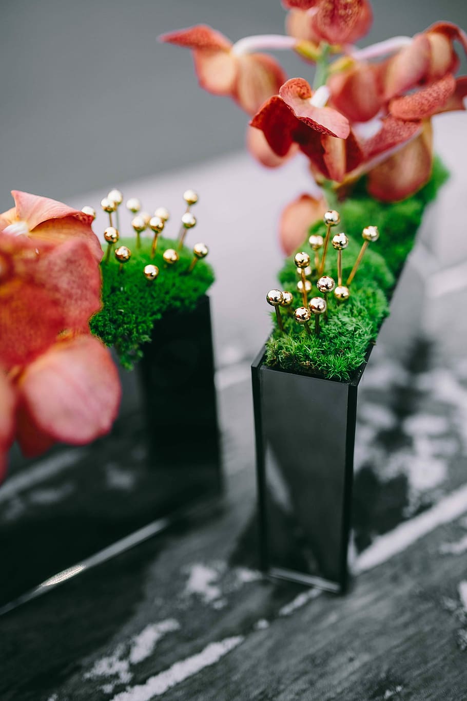 Miniature ornamental plants in rectangular boxes, small, decoration HD wallpaper