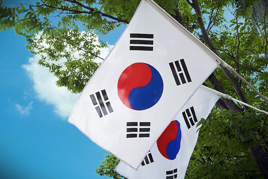 two Korea flags under blue clouds, julia roberts, south korea flag