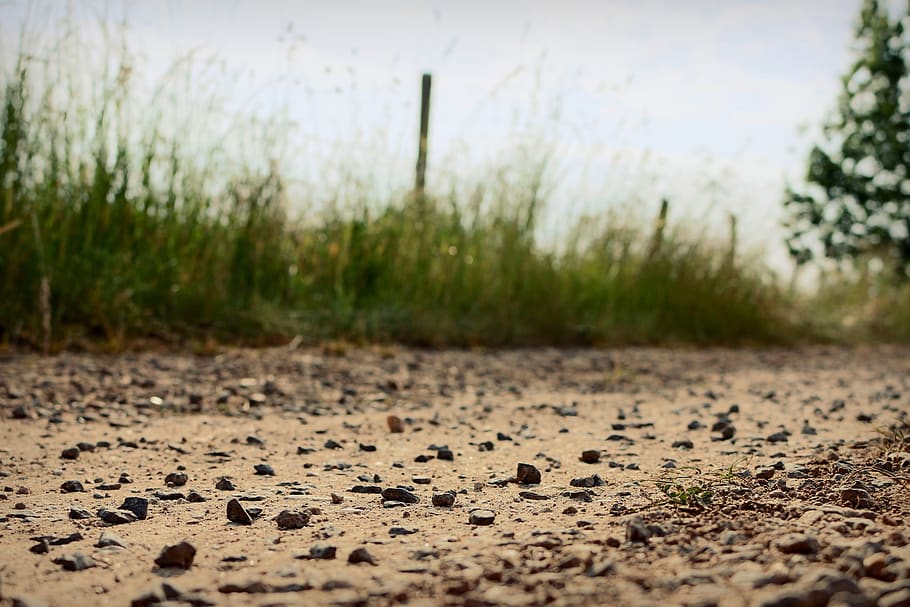 away, path, pebble, trail, field, wallpaper, nature, plant HD wallpaper
