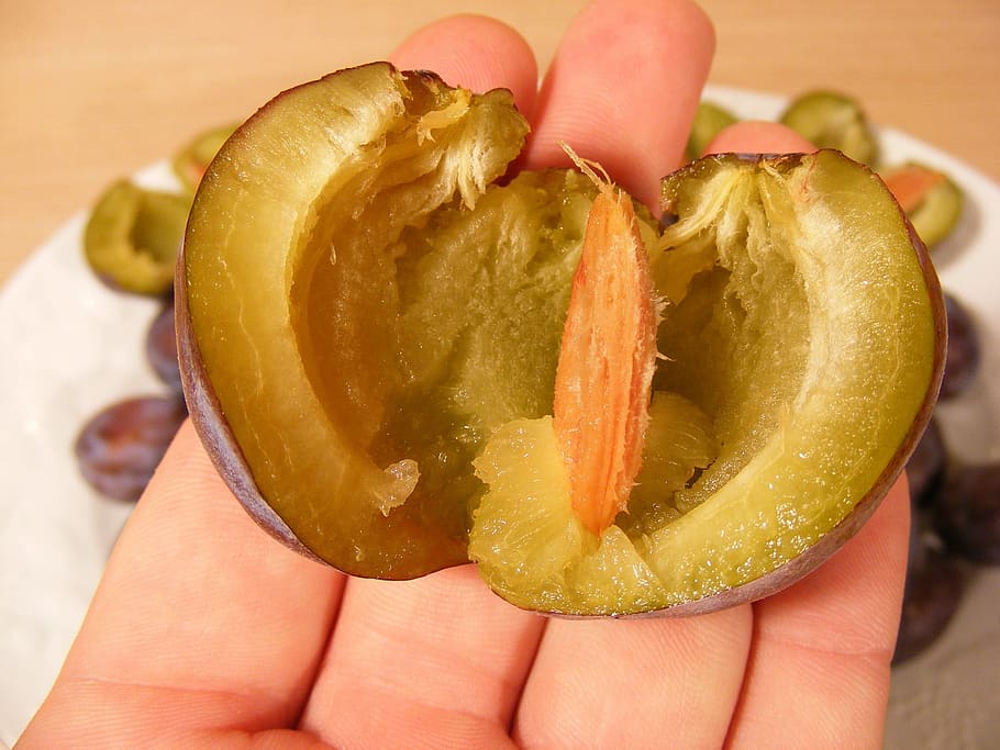 Plum, Fruit, Raw, Seed, halved, peeled, pulp, food and drink HD wallpaper