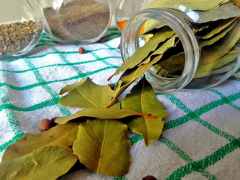 bay leaf, spices, cooking, kitchen, pepper, dish, foliage, allspice HD wallpaper
