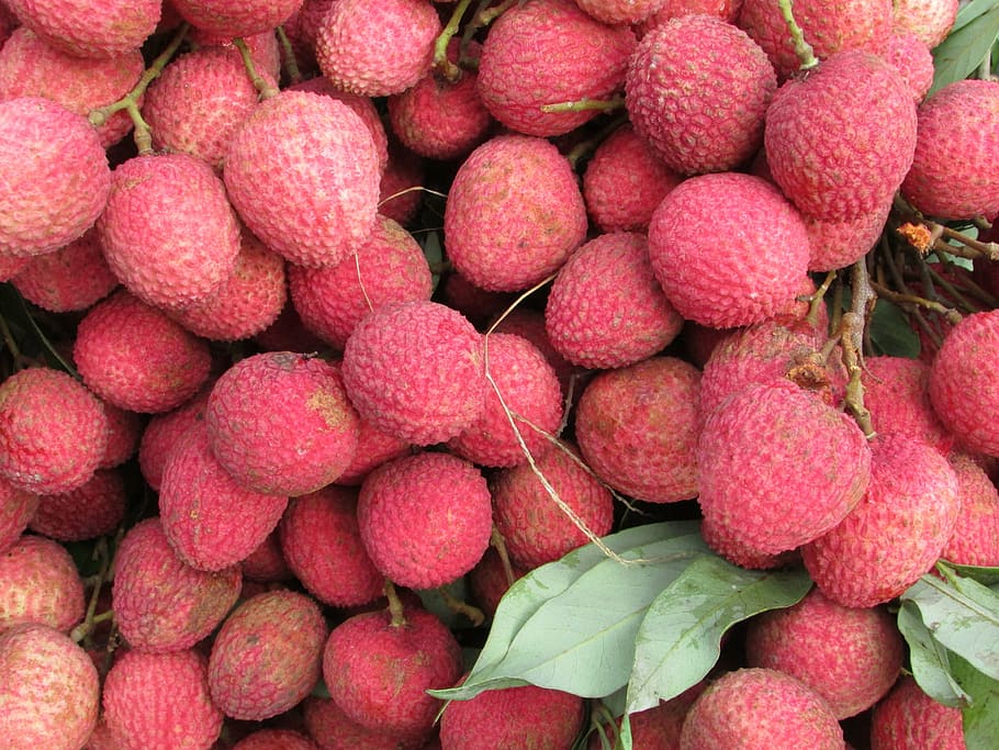 red lychee fruit lot, litchi, fruits, food, freshness, ripe, organic