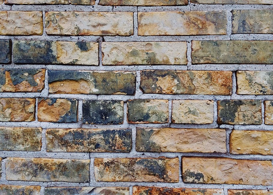 close-up photo of green and brown brick wall, brick wall background HD wallpaper
