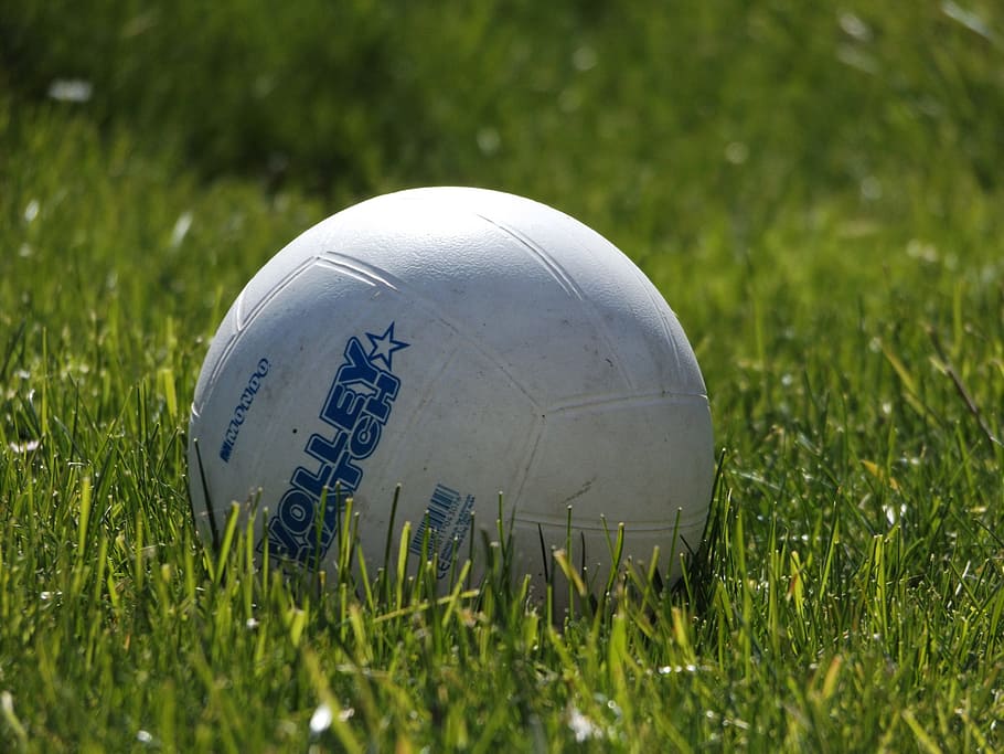 ball, round, grass, green, games, nature, field, garden, spring HD wallpaper