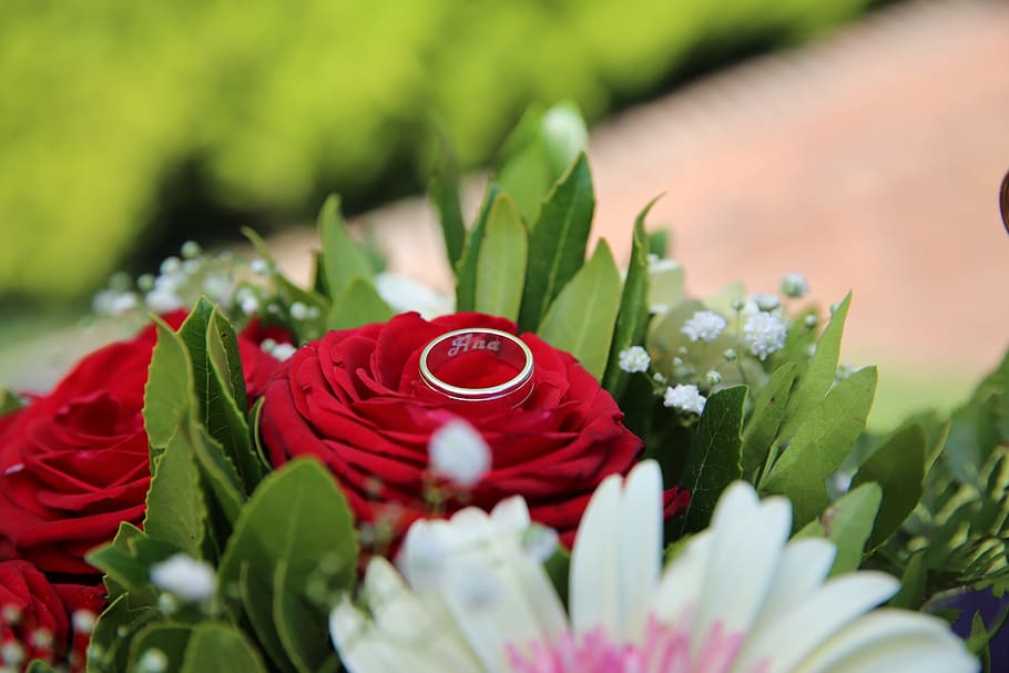 ring, rose, engagement, romance, love, romantic, couple, flower HD wallpaper