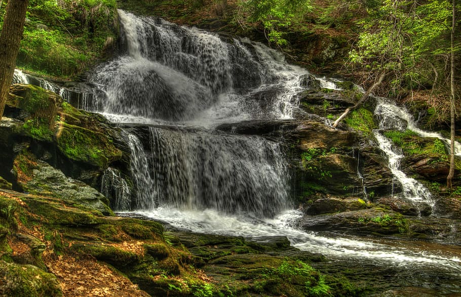 time lapse photography of waterfalls in forest, Garwin, Motion
