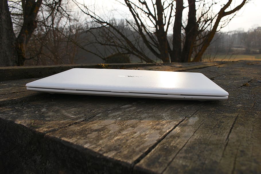 white laptop computer, Notebook, Work, Independent, bare tree HD wallpaper