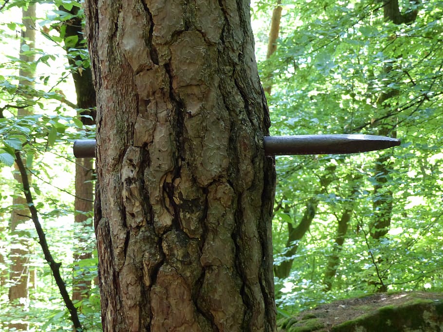 log, nail, art, bark, wrought iron, nature, forest, tree, tree trunk HD wallpaper