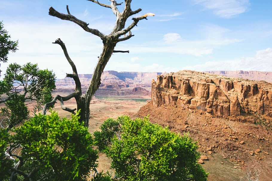 aerial view photography of rock formation at the desert, Grand Canyon, Arizona HD wallpaper