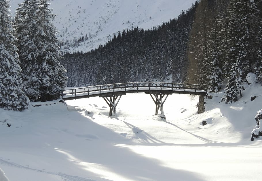 Bridge, Winter, Snow, Architecture, river, water, lake, landscape HD wallpaper