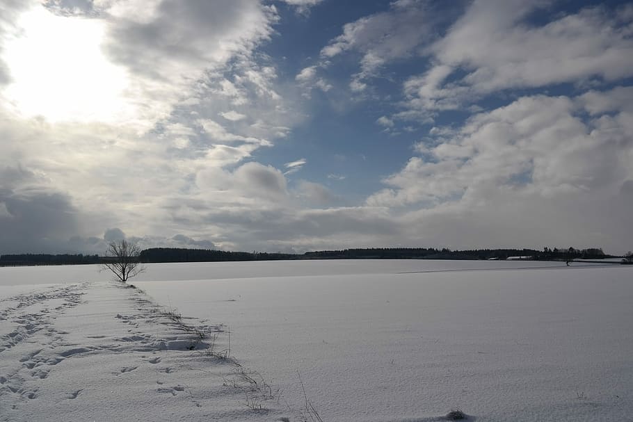 Winter, Snow, Wintry, White, Back Light, nature, winter dream HD wallpaper