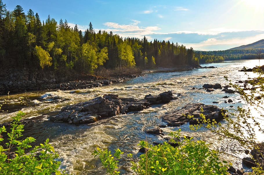 river between trees and grass, flowing, landscape, strong, powerful HD wallpaper