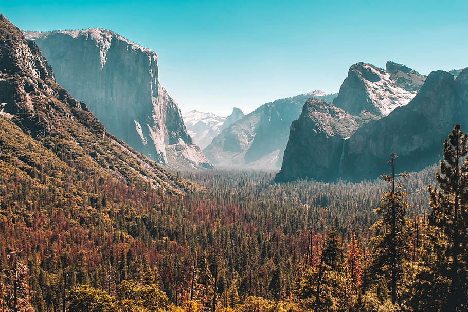 forest and mountain scenery, photo of green and brown forest and mountains during daytime HD wallpaper