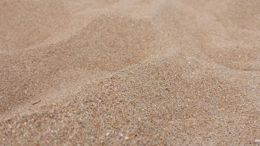 HD wallpaper: Sand, Sun, Beach, summer, agriculture, field, cereal ...