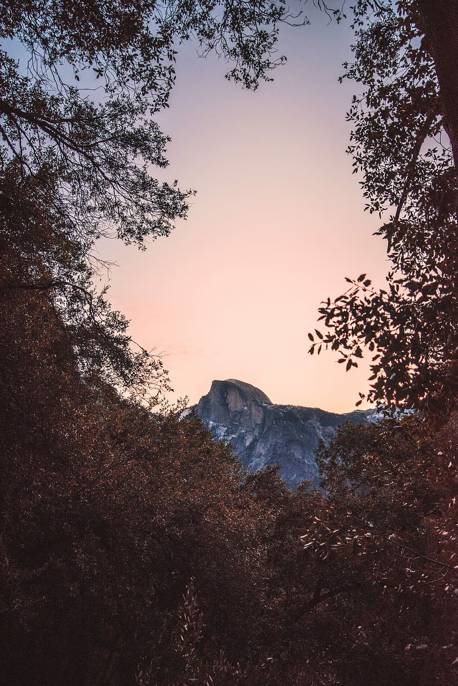 trees near mountain during golden hour, yosemite, half dome HD wallpaper