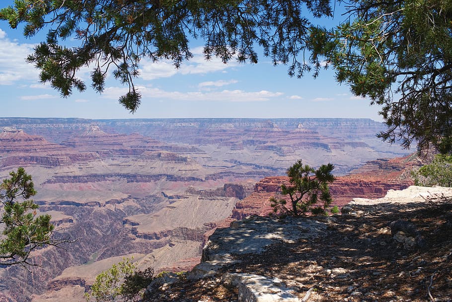 HD wallpaper: grand canyon, landscape, mountains, america, usa, tree ...