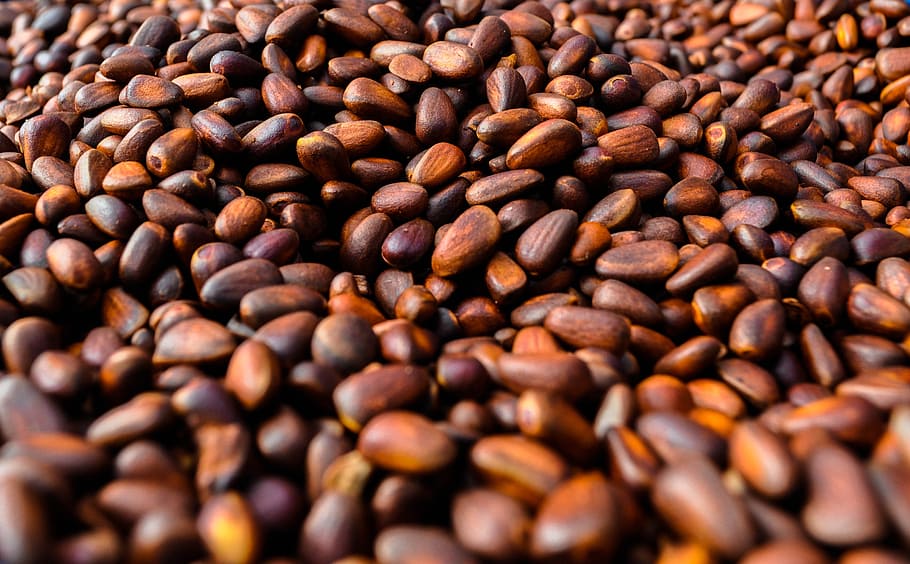 coffee bean lot, pine nuts, pine cones, nature, natural, seed HD wallpaper