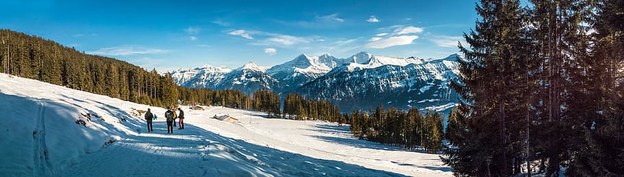white snow-covered plain, panorama, winter, mountains, forest HD wallpaper