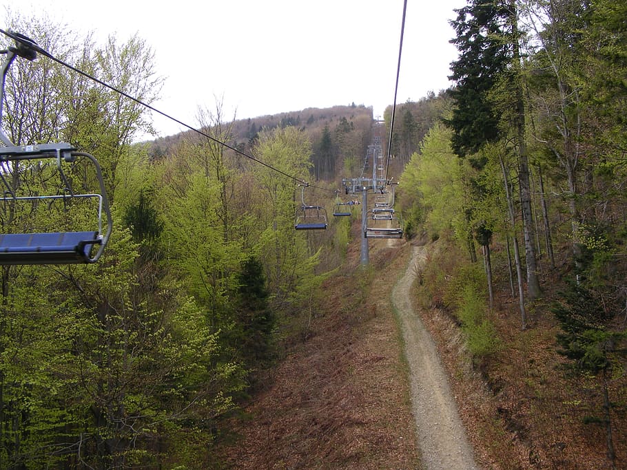 cable car, mountains, cableway, tree, plant, transportation HD wallpaper