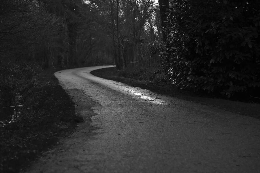 grayscale photo of road in between trees at daytime, pathway with curve ahead in the middle of forest