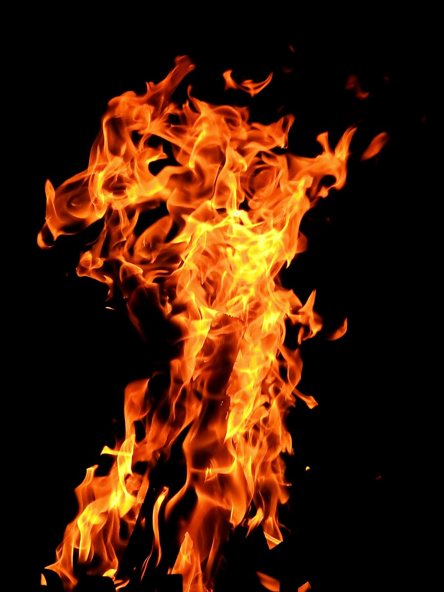 flame burning on black background, fire, wood fire, hot, brand HD wallpaper