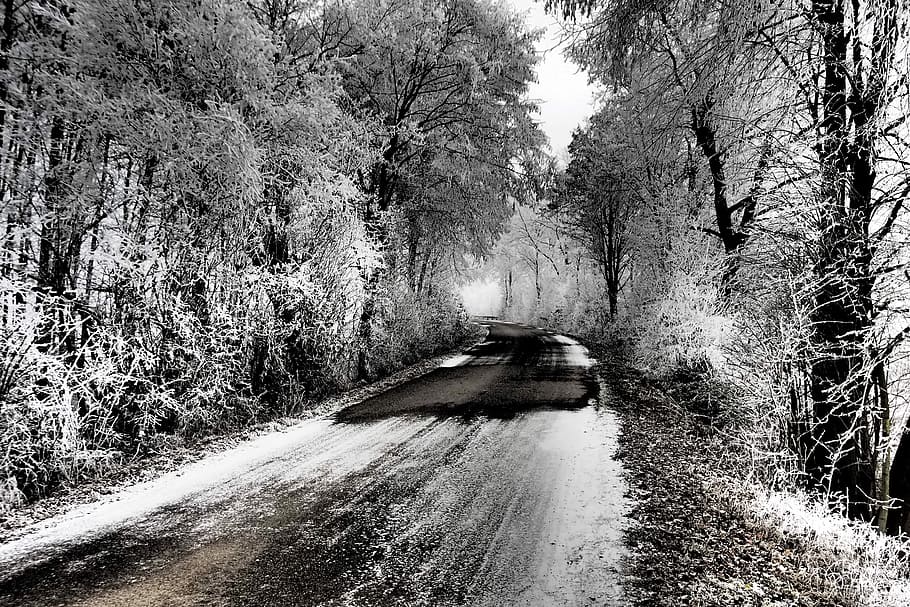 Winter, Trees, Ice, Road, Winter Trees, nature, snowy, wintry HD wallpaper