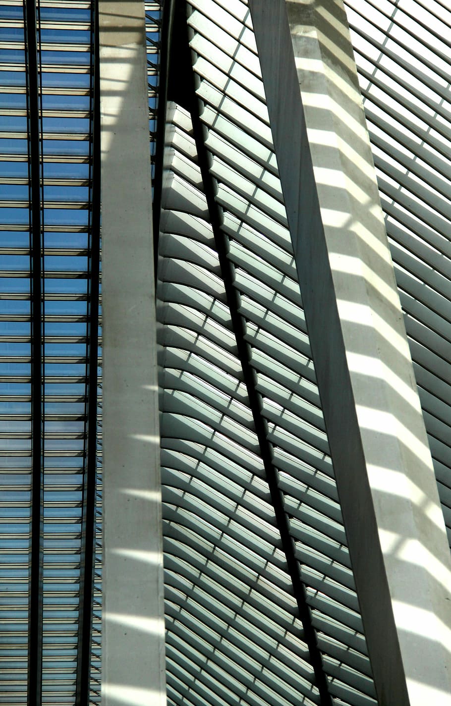 Santiago Calatrava, Architecture, Liège, train station, cork-guillemins