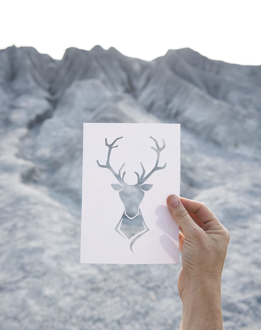 landscape, nature, person, hand, animal, daylight, deer, environment HD wallpaper