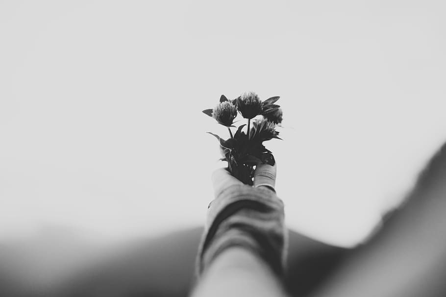 grayscale selective focus photon of person holding glowers, grayscale photography of person holding flowers