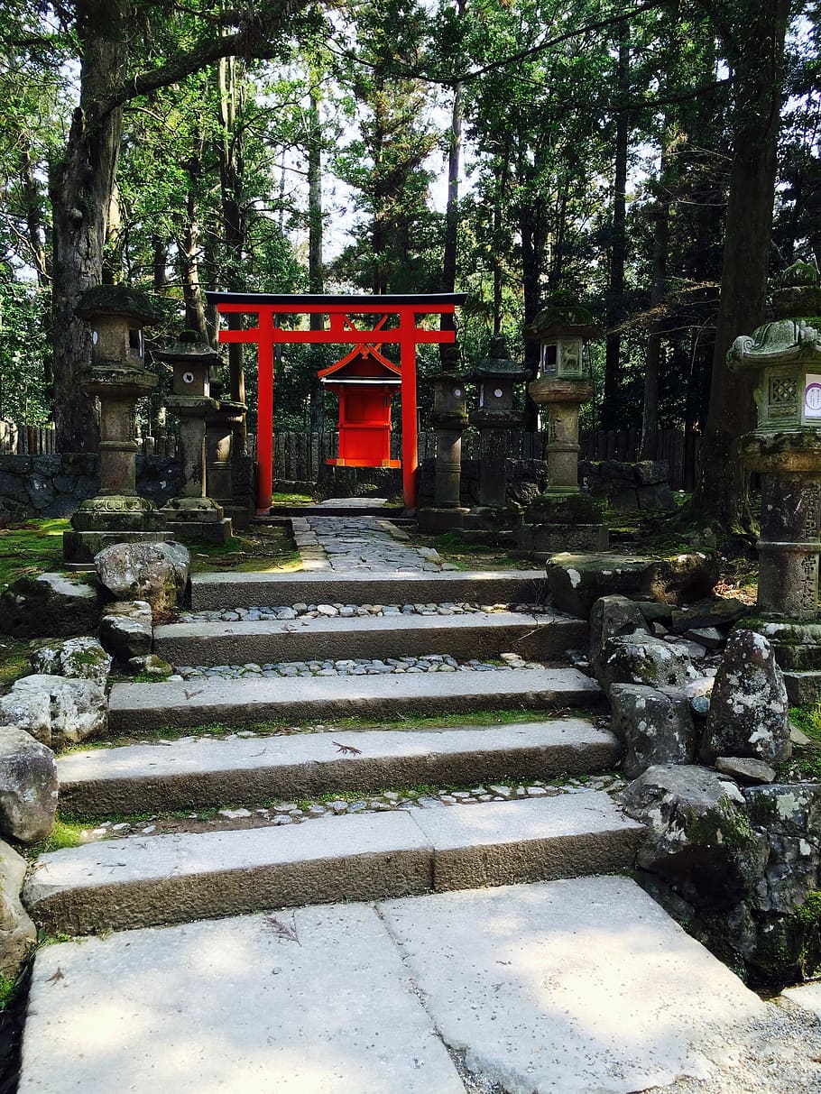 shrine, torii, road, architecture, built structure, staircase HD wallpaper