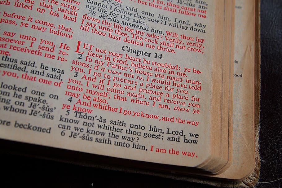 chapter 14 book page, bible, read, christian, faith, open, christianity HD wallpaper