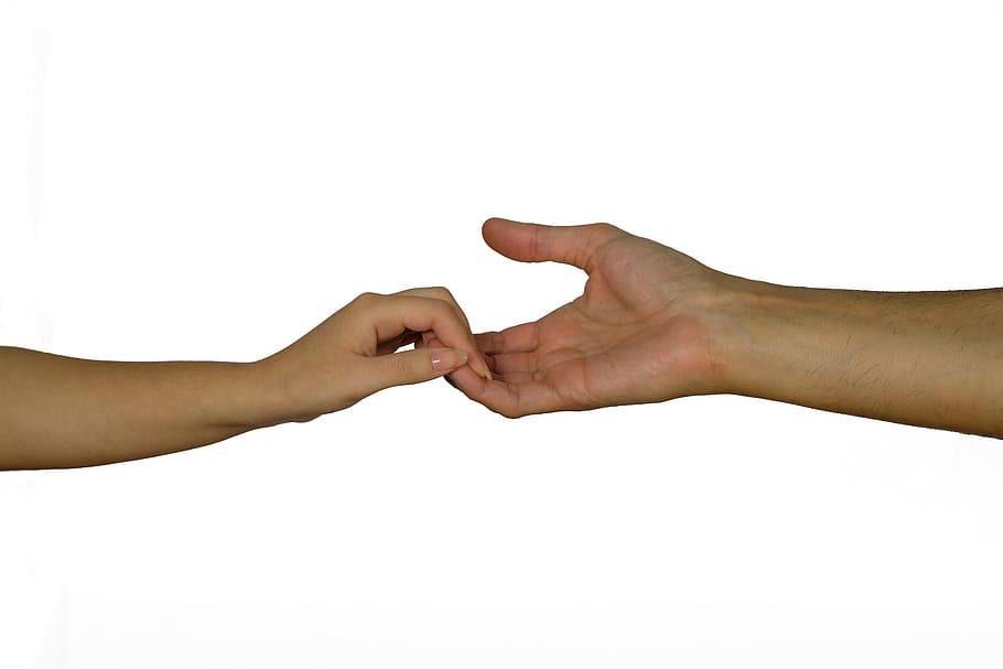 hands, keep, detention, contact, affection, connectedness, tender HD wallpaper