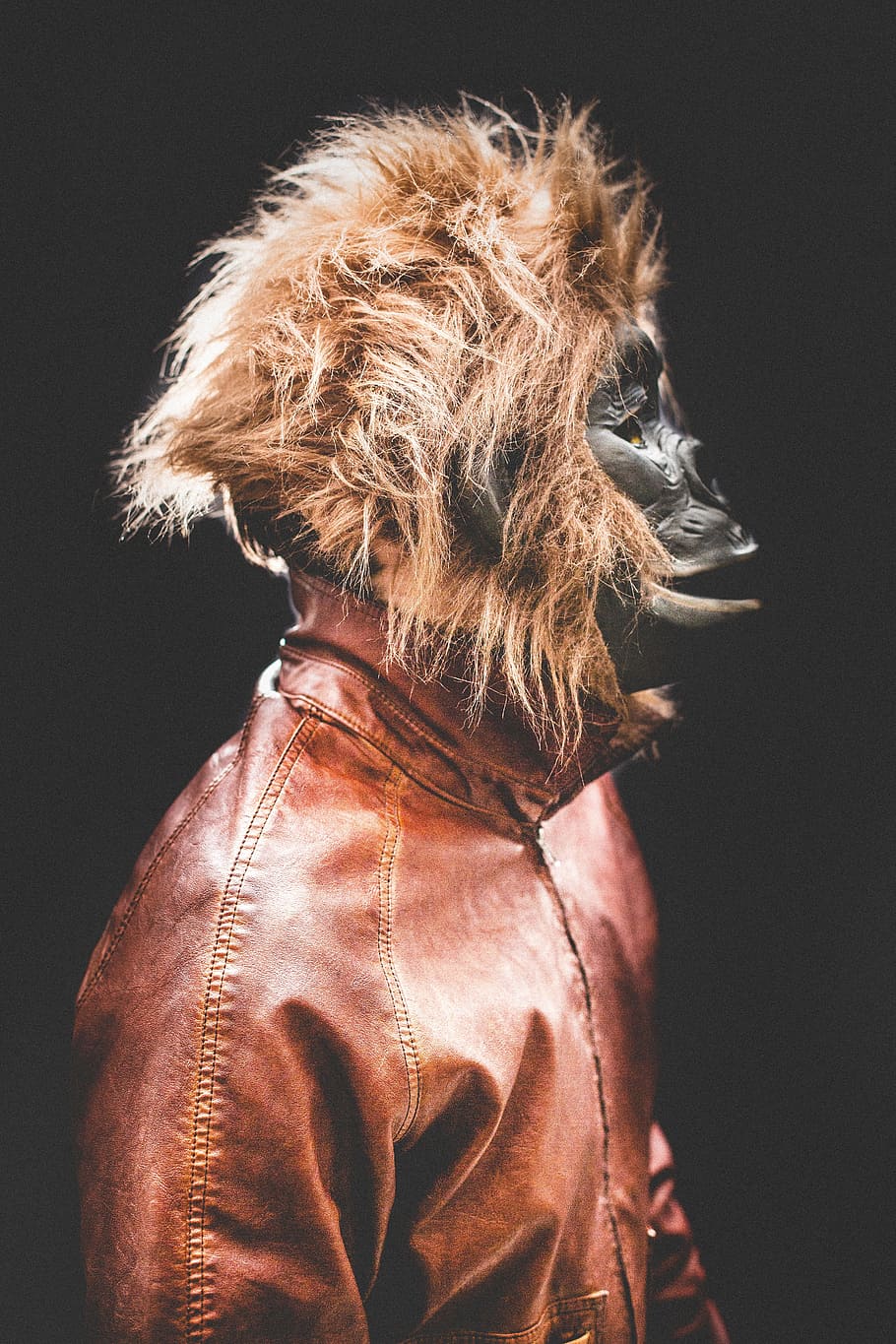 monkey, ape, costume, halloween, leather jacket, studio shot HD wallpaper