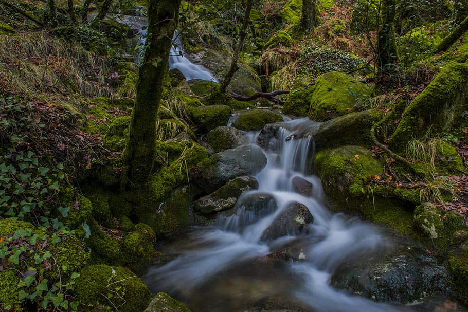 time lapse photo of river between trees, waterfall, rio, nature HD wallpaper