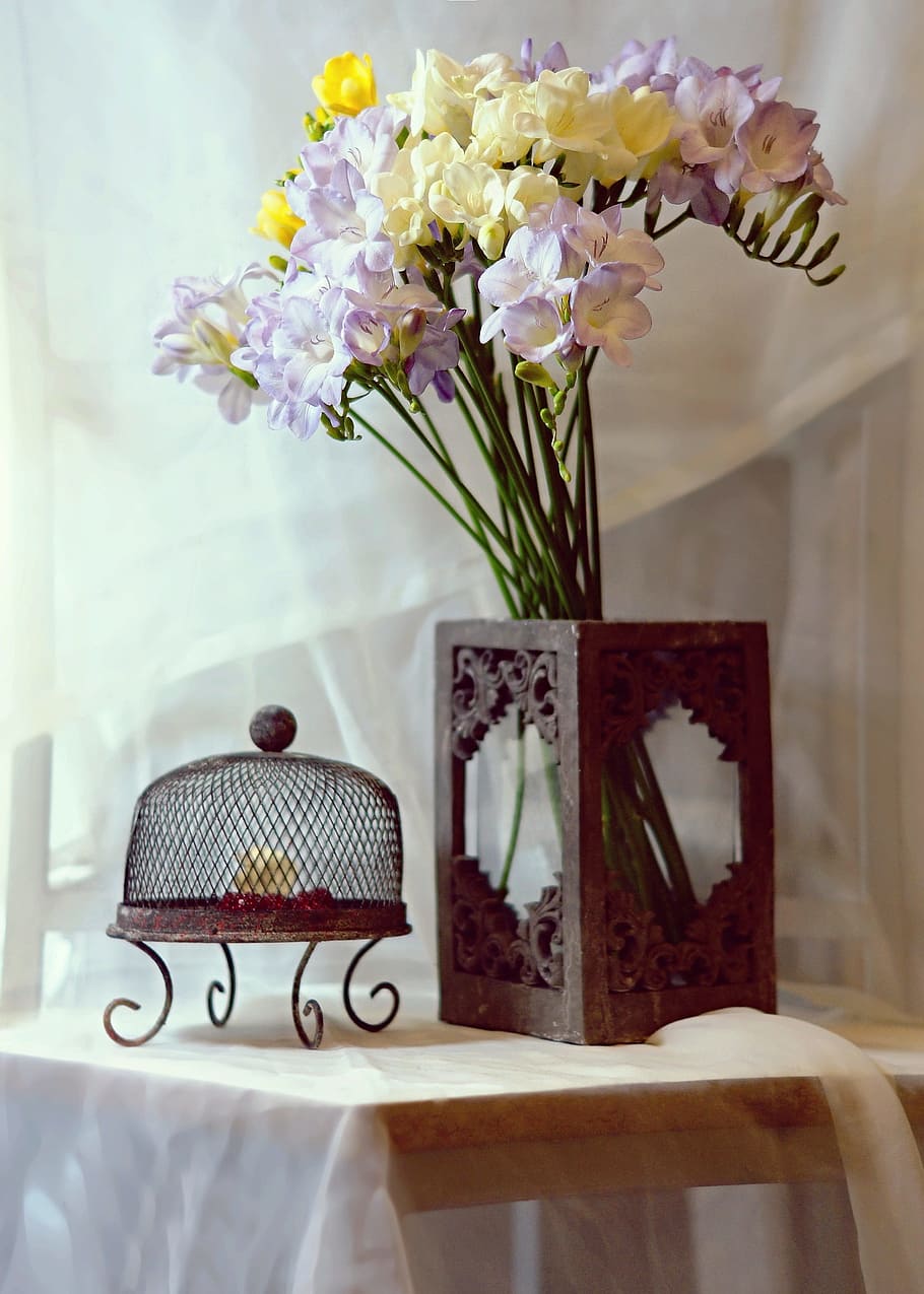 purple, white, and yellow freesia flowers beside candle lantern on table HD wallpaper