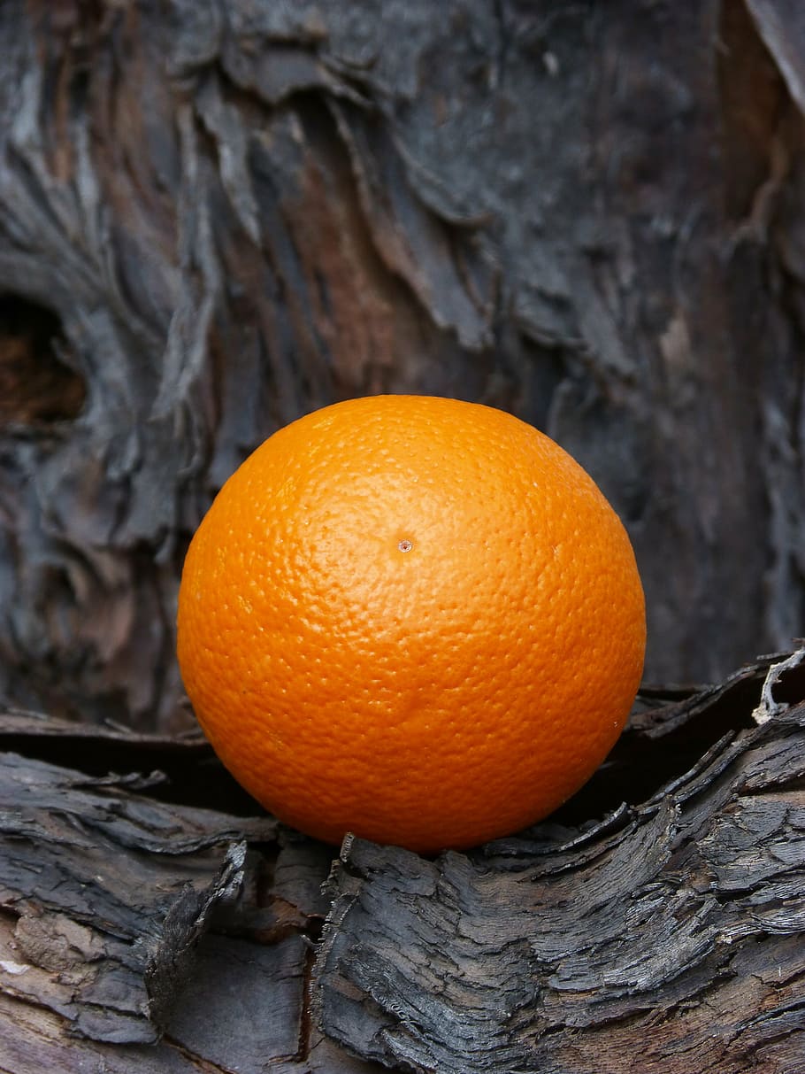 orange, texture, wood, vine, contrast, orange color, citrus fruit HD wallpaper