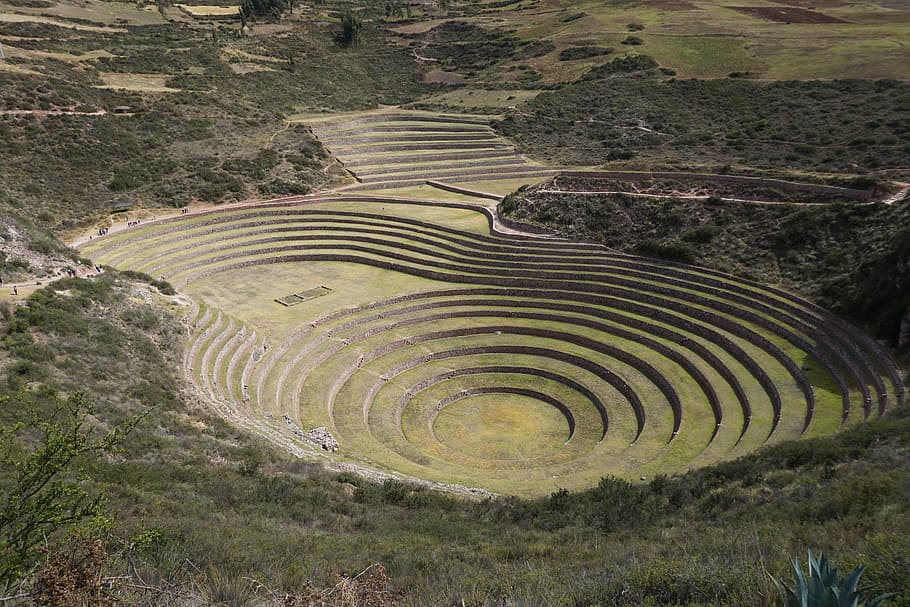 inca, peru, stonework, ruin, ancient, history, agriculture HD wallpaper