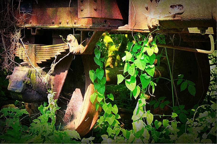 background, wheel, rust, wagon wheel, train, wild, rusty, old wheel HD wallpaper