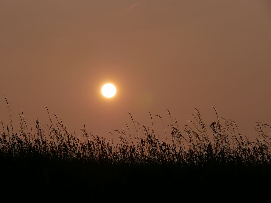 Sun, Sunset, Sky, abendstimmung, setting sun, evening sky, nature HD wallpaper