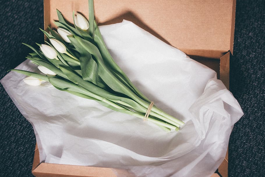 tulips, flowers, gift, high angle view, indoors, wellbeing HD wallpaper