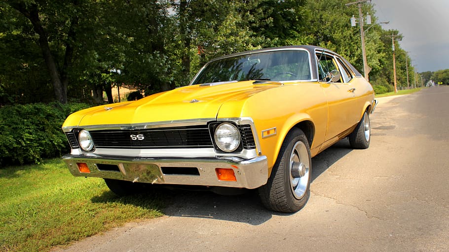 Nova, Muscle, Car, Grass, Vehicle, Drive, road, classic, shiny HD wallpaper
