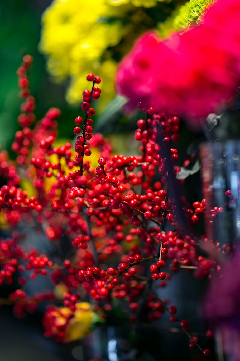 Red rowan with a colourful arrangement of flowers, flora, yellow, HD wallpaper