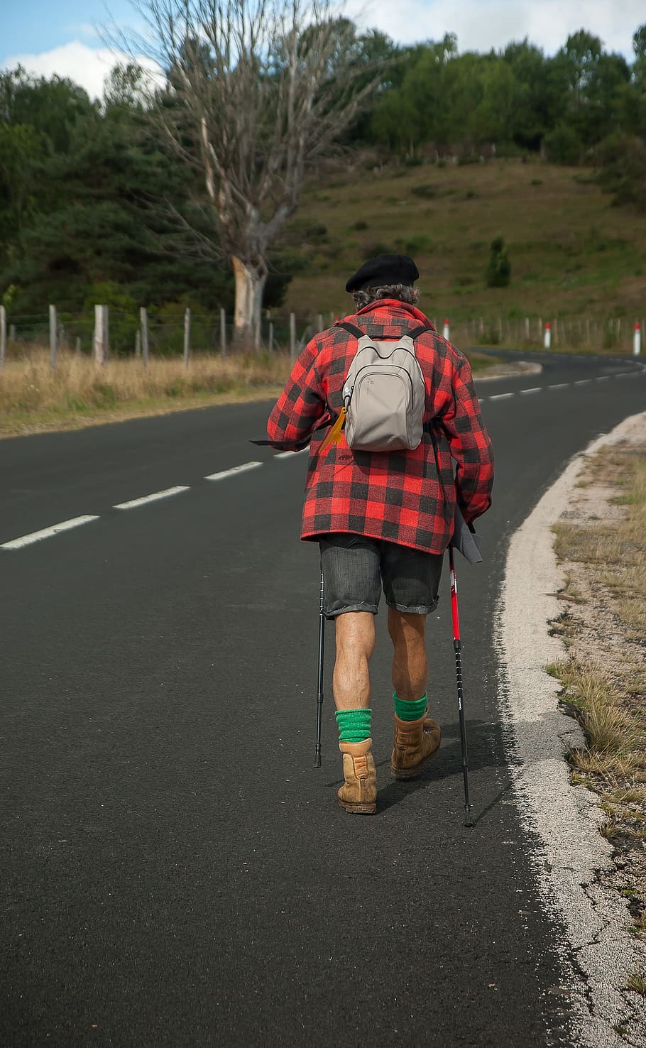 walker, hiker, backpack, rear view, road, transportation, real people HD wallpaper