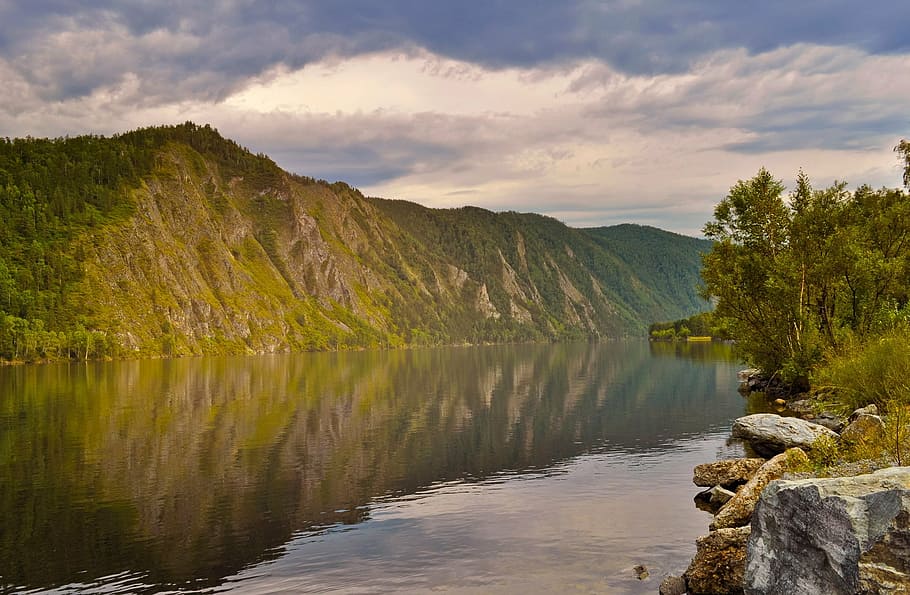 river, beach, mountains, trees, branches, leaves, grass, water HD wallpaper