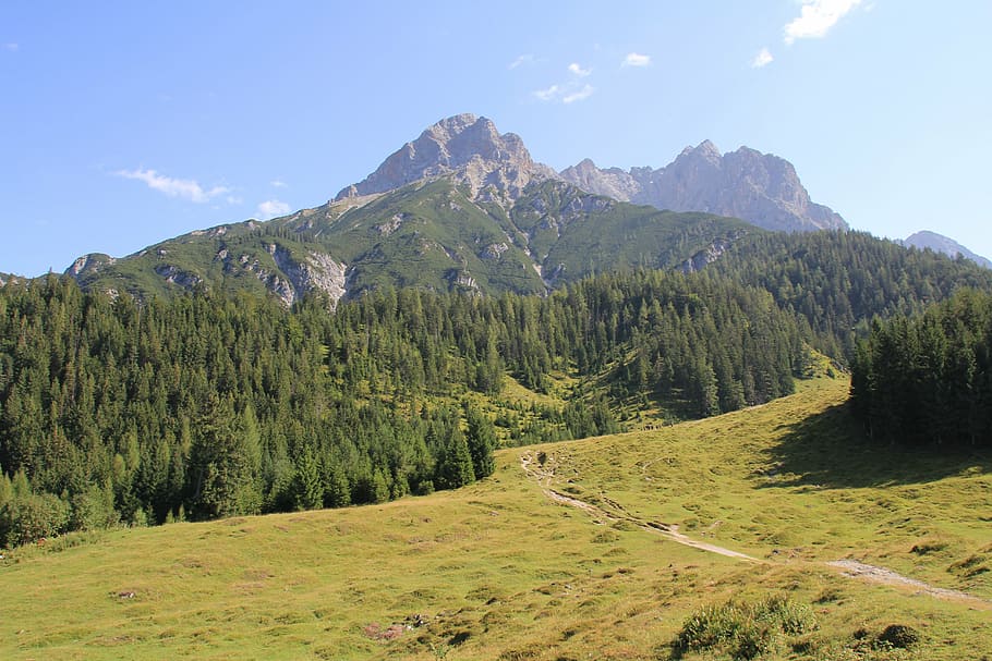 mountains, alm, alpine, austria, meadow, panorama, mountain landscape HD wallpaper