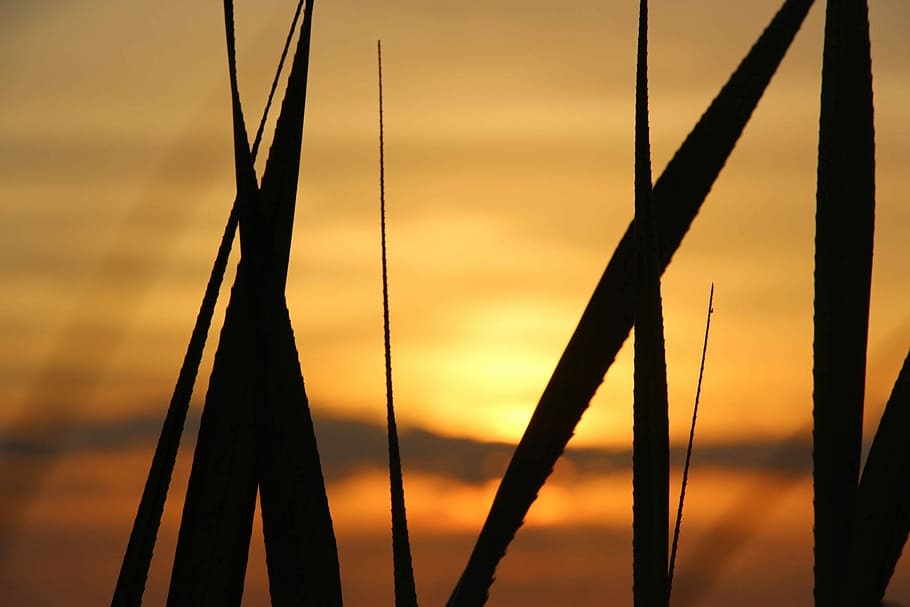 Sunset, Sundown, Grass, Colorful, indonesia, sky, no people HD wallpaper